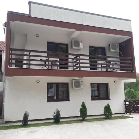 Vila Ovidiu Băile Herculane Extérieur photo